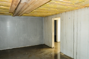 waterproofing your basement baltimore